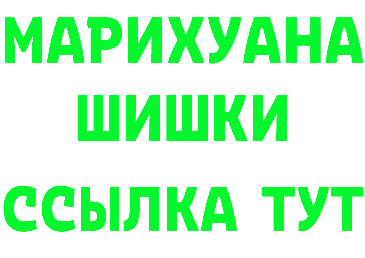 A PVP СК КРИС вход площадка mega Балашов